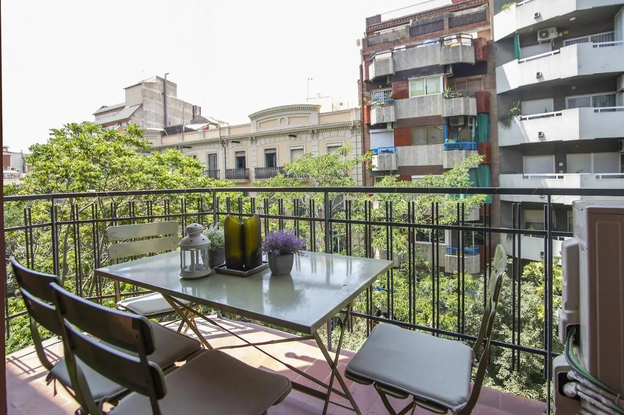 41Ara1029 Stunning & Renovated In Sagrada Familia contacts
